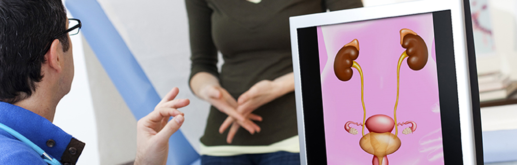 Physician speaking with patient while pulling up a medical diagram