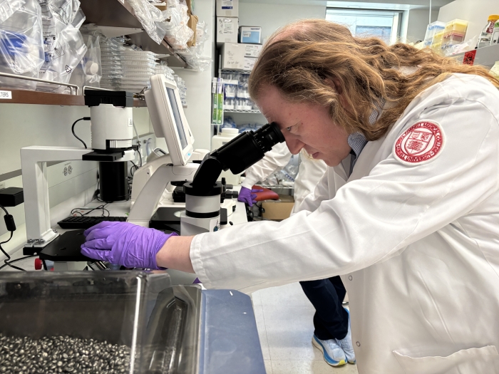Dr. Robert Schwartz analyzes cells in the lab.