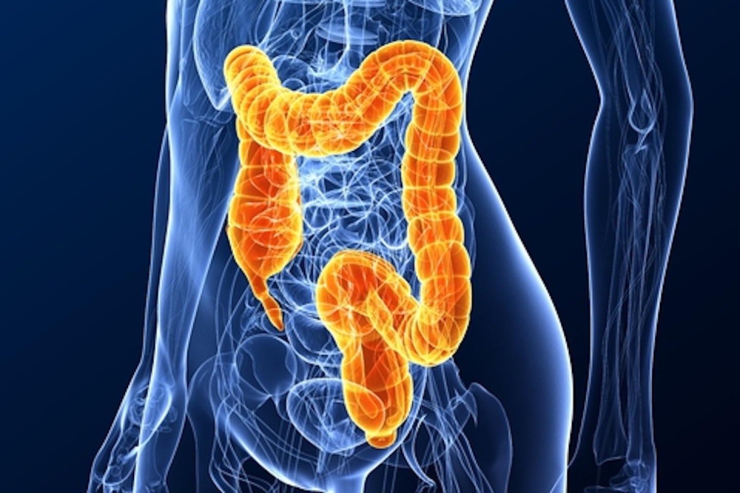 highlighted colon