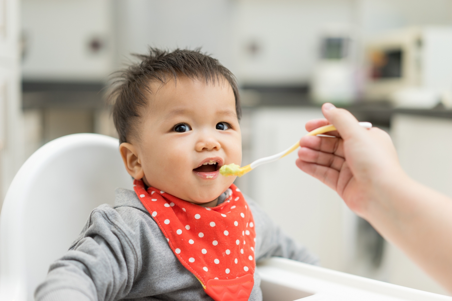 Infant being fed in his high chair