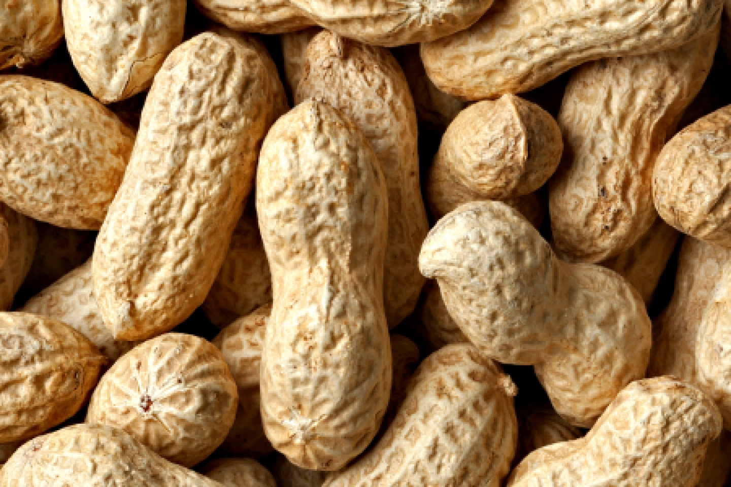 Peanuts