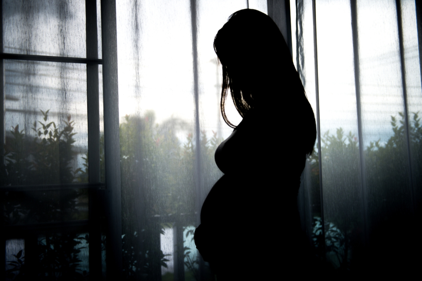 silhouette pregnancy women standing in a window