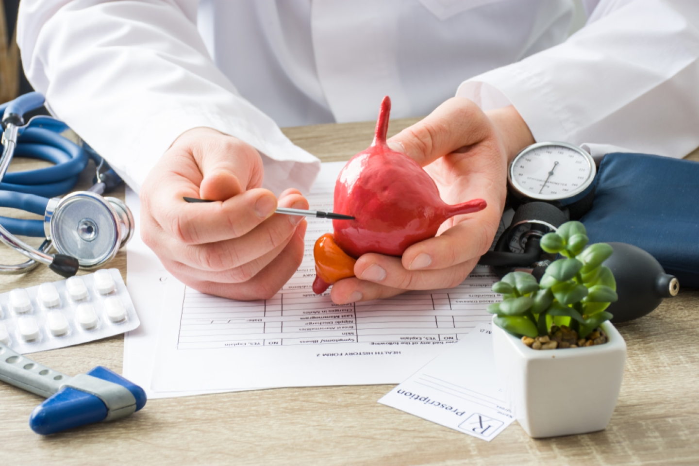 doctor points at bladder figure