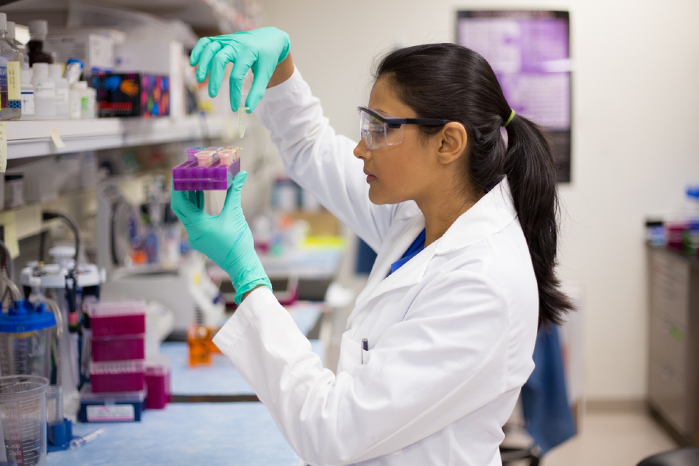 Closeup portrait, young scientist in labcoat wearing nitrile gloves, doing experiments in lab, academic sector.