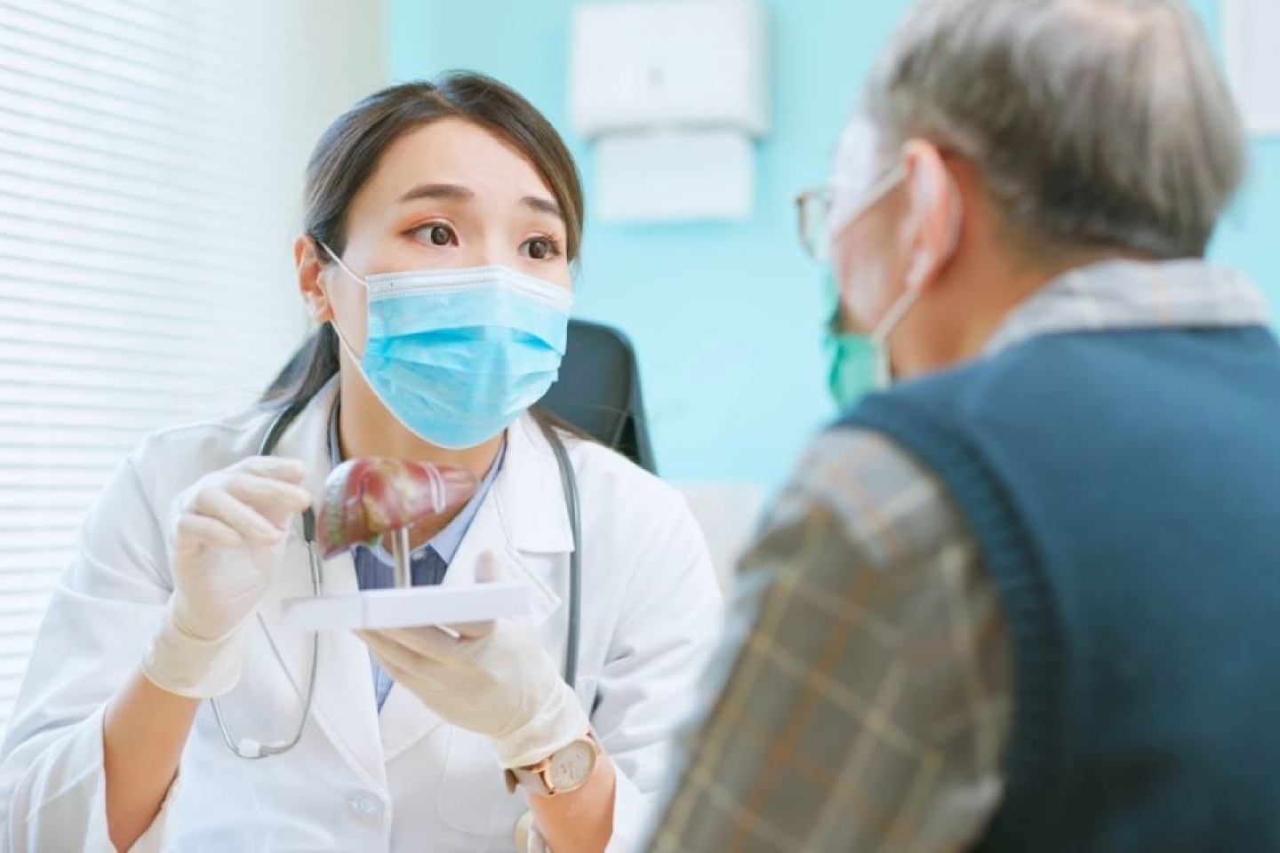 asian female doctor wearing face mask is showing liver model and explaining to elder senior man patient in hospital