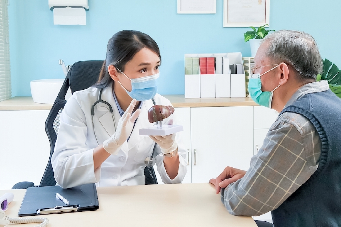 asian female doctor wearing face mask is showing liver model and explaining to elder senior man patient in hospital