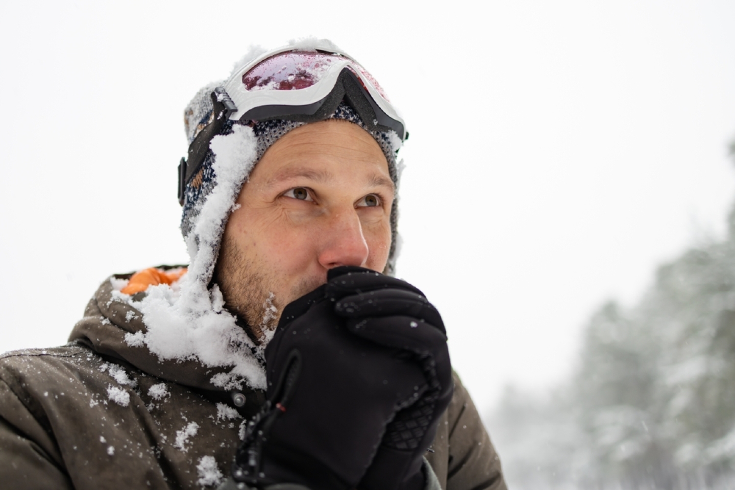 An adult brutal man with a beard in a winter forest all face in the snow. Man shivering in cold winter and rubbing hands until snow.