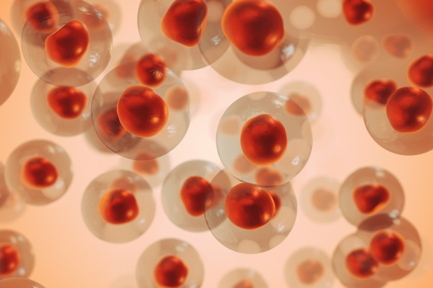 melanoma cells