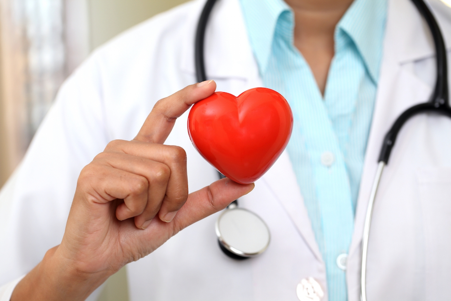 doctor holds heart