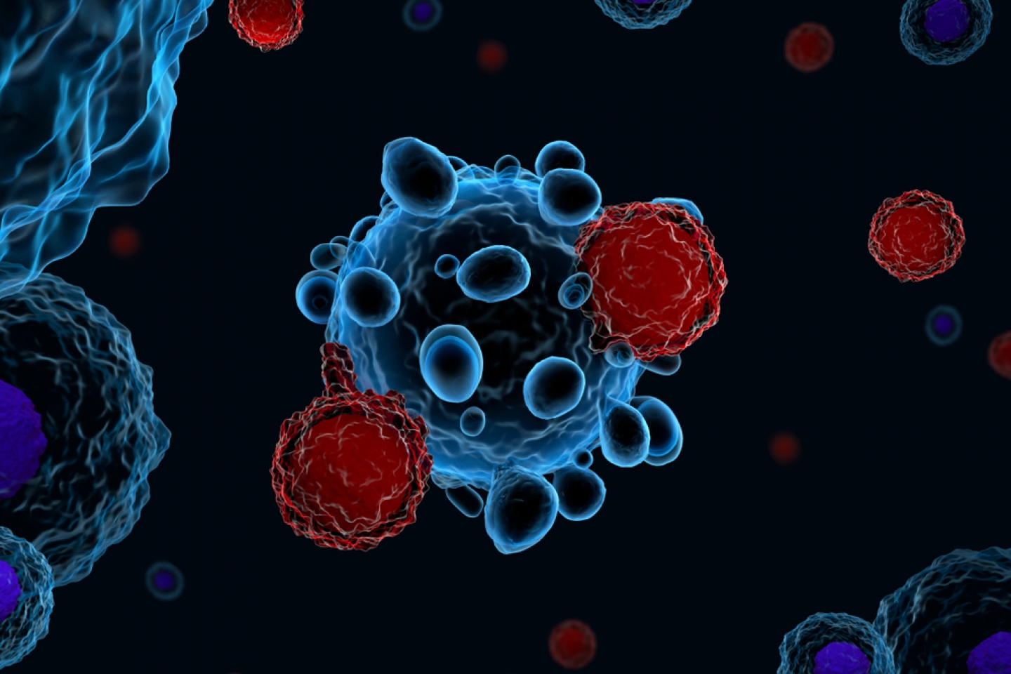 3d illustration of immune system T cells attacking cancer cells