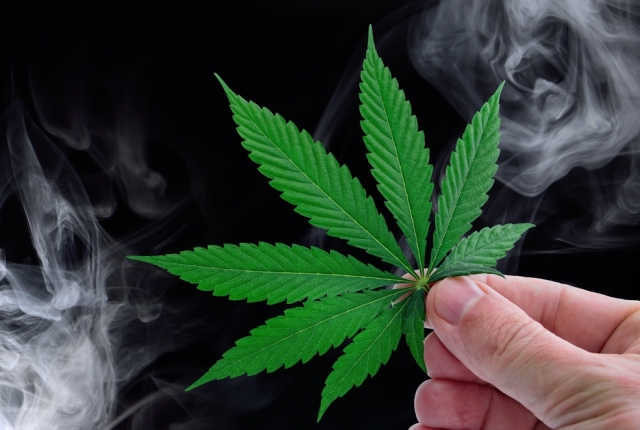 Hand holding cannabis leaf against smoke background in dark