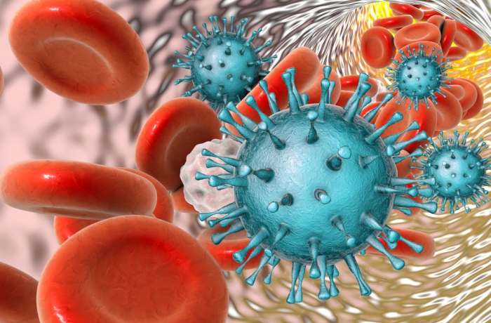 Cytomegalovirus in blood, 3D illustration.