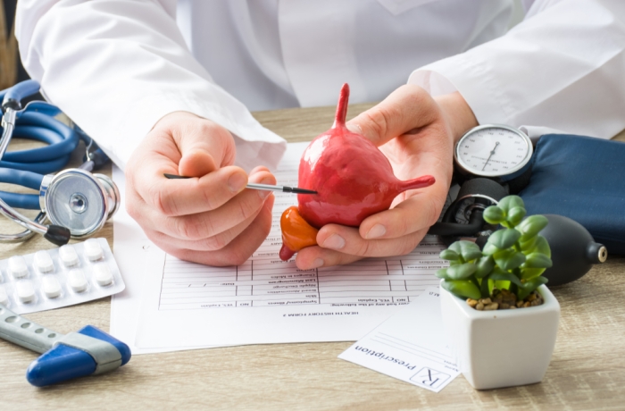doctor points at bladder figure