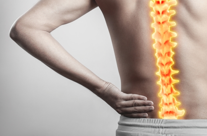 human anatomy of spinal cord signifying lower spine pain. 