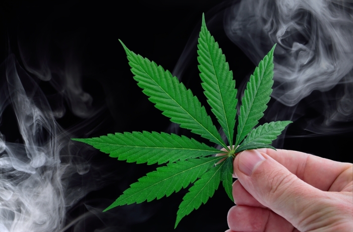 Hand holding cannabis leaf against smoke background in dark