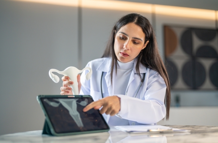 Woman doctor explaining female reproductive system using uterus model, online gynecology consultation, woman health awareness and telemedicine services, telemedicine education, cervical cancer and HPV