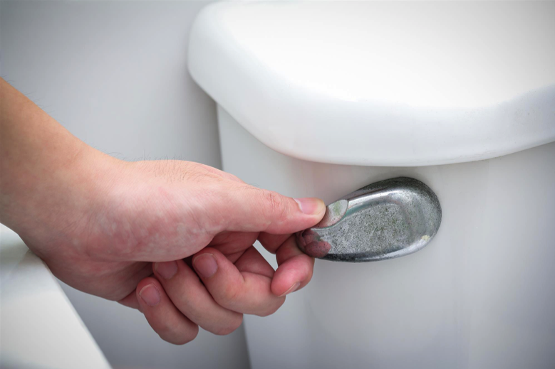 Hand flushes toilet