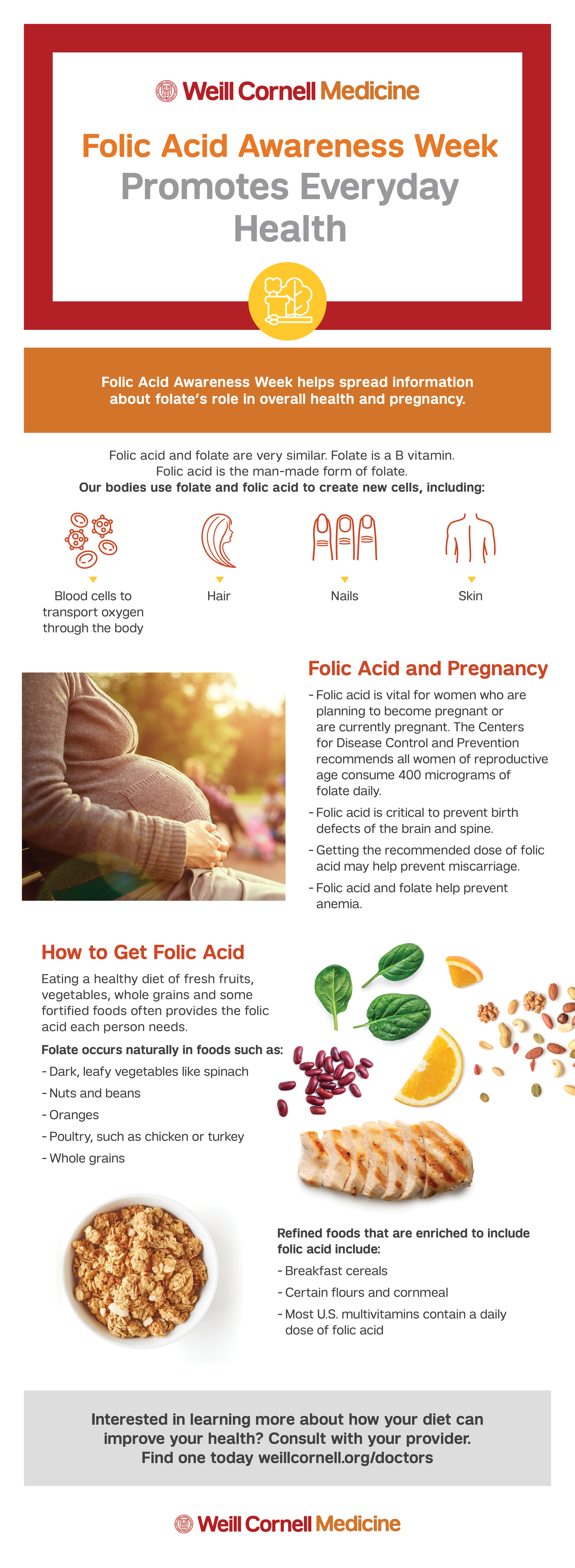 Folic acid infographic
