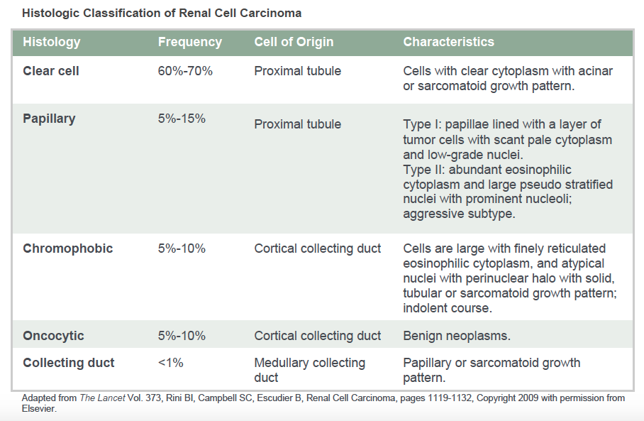 Chart that explains the histologic classification of renal cell carcinoma
