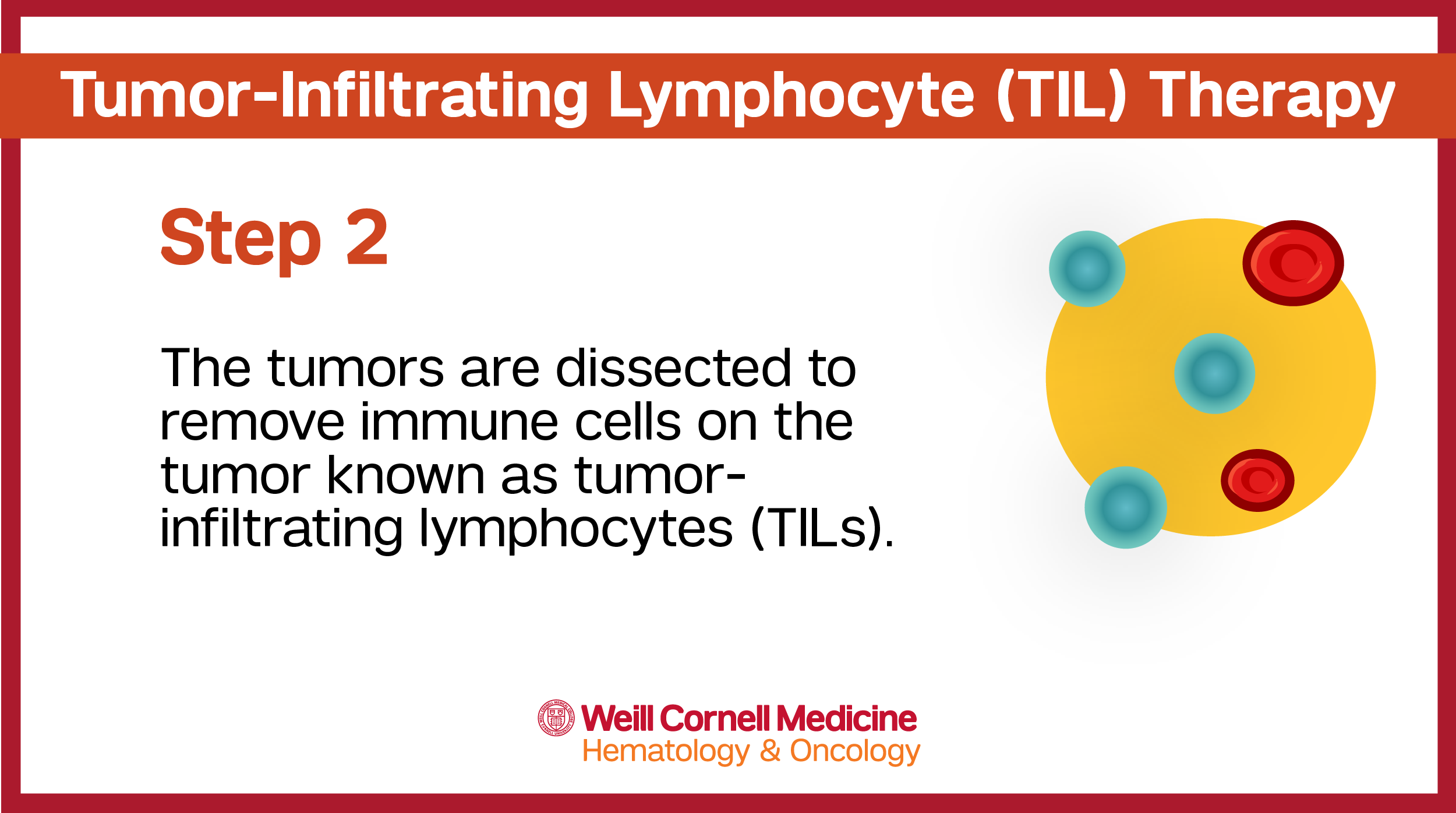 TIL Infographic Step 2
