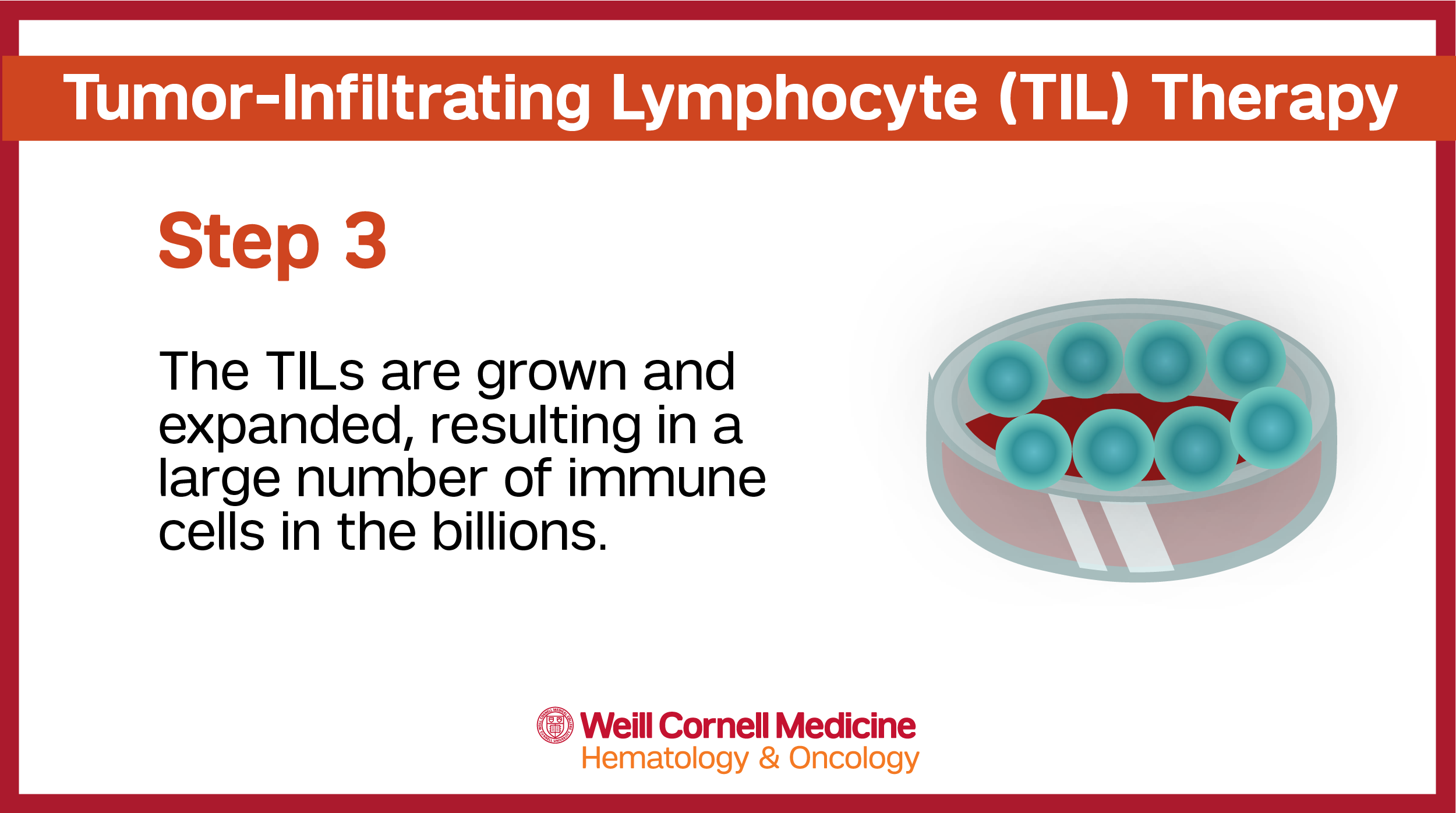 TIL Infographic Step 3
