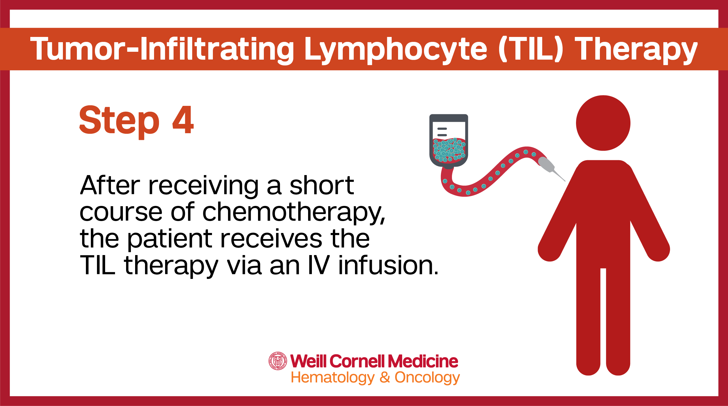 TIL Infographic Step 4