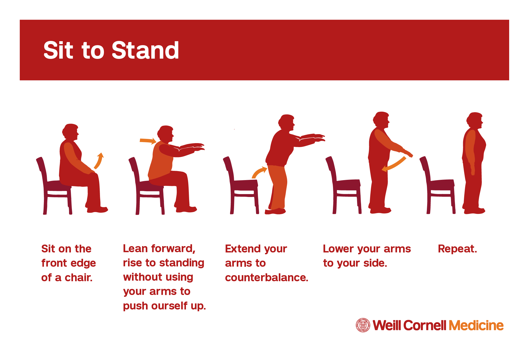 Seated Arm Home Exercises for Seniors 