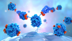 Cancer Immunotherapy stock picture