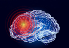 Brain picture graphics