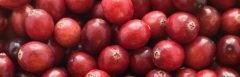 Cranberries 