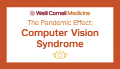 The pandemic effect infographic