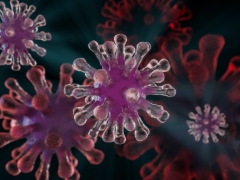 covid-19 virus