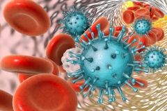 Cytomegalovirus in blood, 3D illustration.