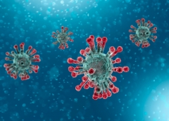 Microscopic view of Coronavirus