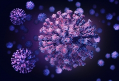 coronavirus