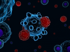 3d illustration of immune system T cells attacking cancer cells