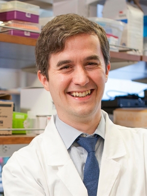 Conor Michael Liston, Ph.D., M.D. Profile Photo