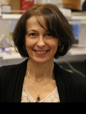 Sandra Demaria, M.D. Profile Photo